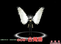 白翅膀
